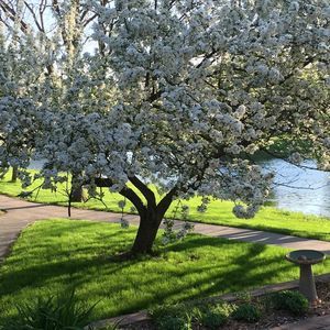 Meet your Posher, Paula